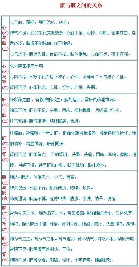 中医养生学视频录制中：从入门到精通的完整指南，轻松制作专业养生视频